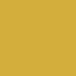 curry (SD1890-1014C)