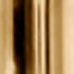 brass frame / brass shade