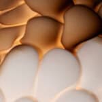 bronze